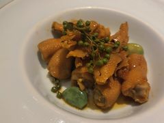 椒麻凤爪-新海渔港·胶东海鲜家常菜·家宴(奥体中心店)