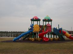 -上海都市菜园