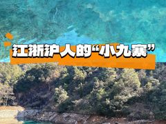 -大奇山国家森林公园