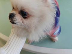 -怪兽屋·羊驼·猫咖·狗咖(俊华广场店)