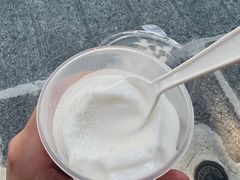 -洪馨椰子