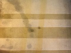 -上海浦东星河湾酒店