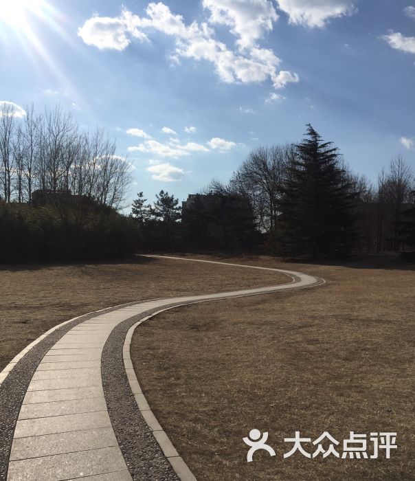 回龙观公园景点图片 - 第7张