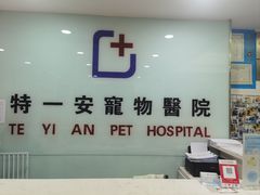 -特一安24小时宠物医院·骨科·中兽医