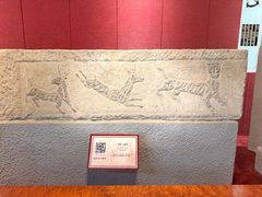 -卧龙岗文化园-南阳市汉画馆