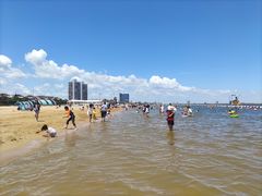 -碧海金沙