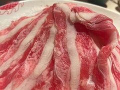 -小龙坎火锅(全球旗舰店)