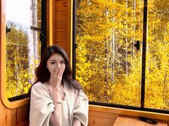 -莫尔道嘎国家森林公园