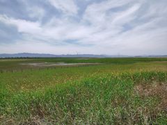 -野鸭湖国家湿地公园