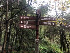 -铁山坪森林公园