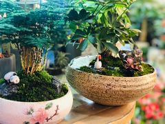 -双季花艺园艺市场(浦东店)