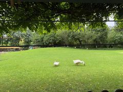 -硅谷蒙学幼儿园