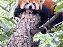 -西安秦岭野生动物园