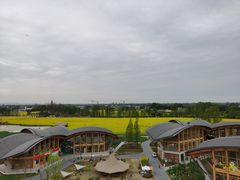 -中国天府农业博览园