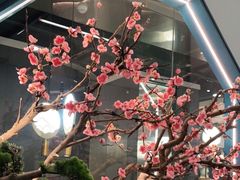 -老板恋上鱼(振华商厦店)