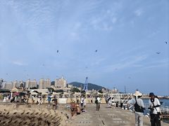 -星海广场