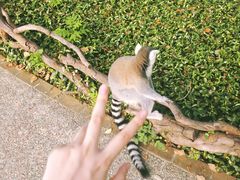 -上海野生动物园