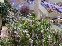 -赛格国际购物中心(小寨店)