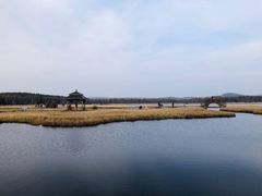 -塞罕坝国家级自然保护区