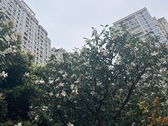 -沐仙湖湿地公园