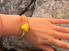 -芸山季·云南野生菌火锅(人民广场来福士店)