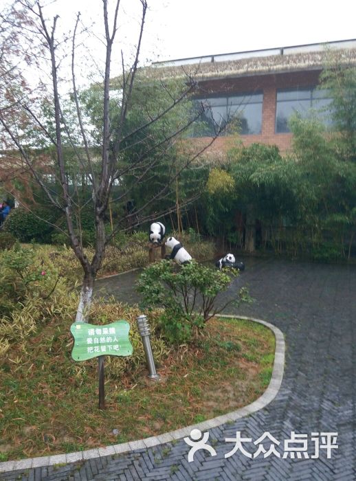 格西兰cena上传的图片