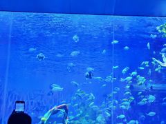 -石家庄极地海洋世界