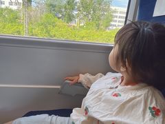 -潍坊站