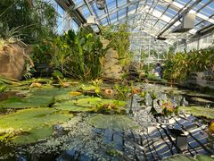 -国家植物园南园