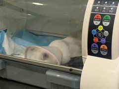 -瑞派名望志远动物医院·猫科·內科·异宠专科(直港大道店)