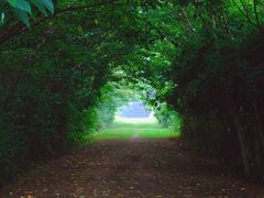 -盘龙城国家考古遗址公园