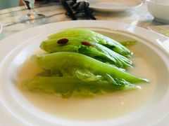 -唐阁海景中餐厅·早茶·粤菜•生日聚餐(海口朗廷酒店)