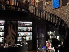 -雪灵魔法世界SHELLY’S TAROT(大良桂畔里店)
