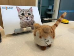 -纳吉亚猫专科动物医院博雅分院