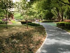 -徐家汇源景区-衡山公园