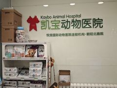 -悦宠凯宝动物医院·牙科·皮肤科(朝阳北路店)