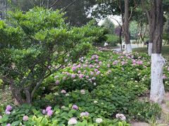 -西安化觉巷清真大寺
