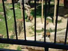 -无锡动物园·太湖欢乐园