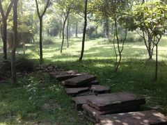 -成都中医药大学(温江校区)