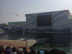 -北戴河圣蓝海洋公园