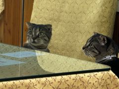 -品味轩(华山路店)