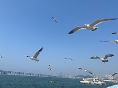 -星海广场
