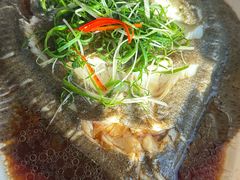 -天顺渔港·海景餐厅(星海广场店)