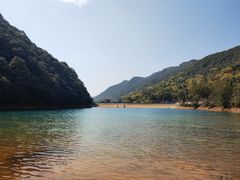 -龙坞茶村