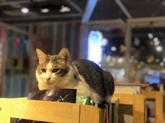 -小时光咖啡馆(开森度假森林店)