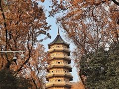 -灵谷景区