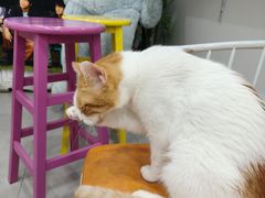 -喵小喵烘焙(广宜文苑店)