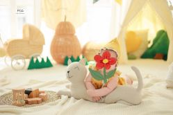 点击看大图 -Baby Pastel 自然光儿童摄影(CBD店)