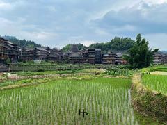 -程阳八寨景区