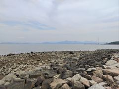 -深圳湾公园(南山区)